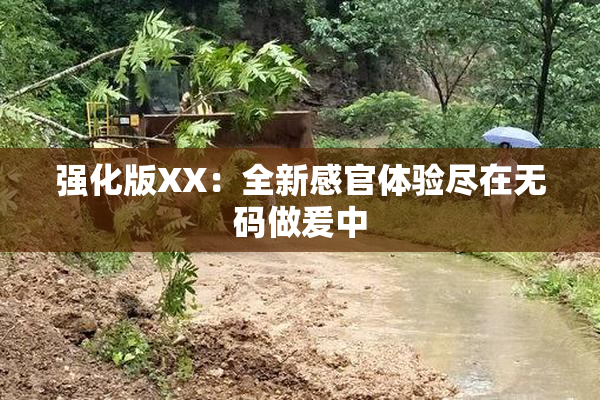 强化版XX：全新感官体验尽在无码做爰中