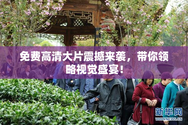 免费高清大片震撼来袭，带你领略视觉盛宴！