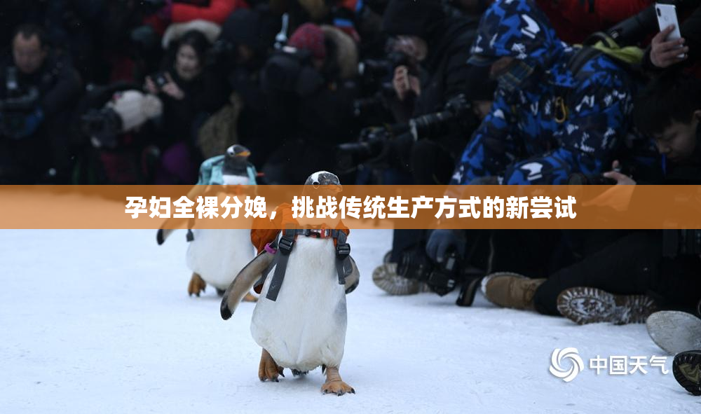 孕妇全裸分娩，挑战传统生产方式的新尝试