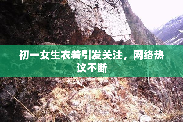 初一女生衣着引发关注，网络热议不断