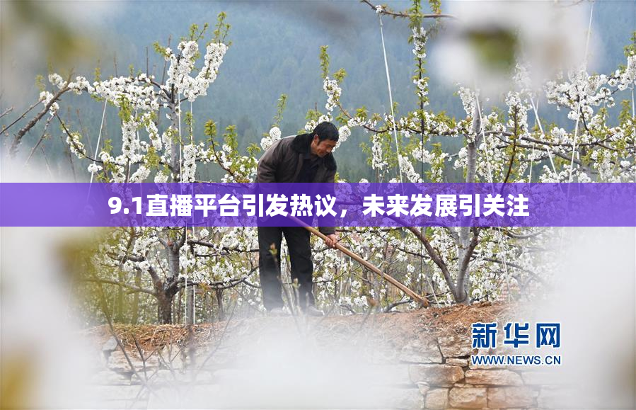 9.1直播平台引发热议，未来发展引关注