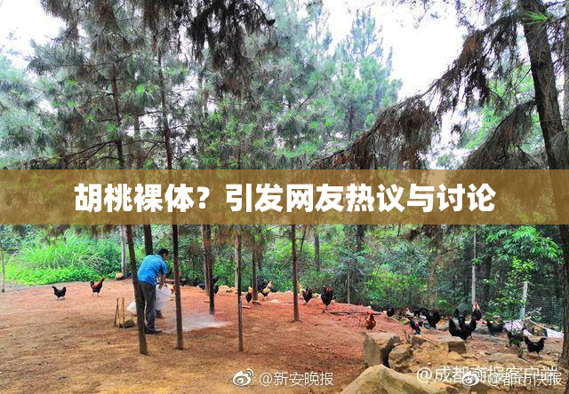 胡桃裸体？引发网友热议与讨论