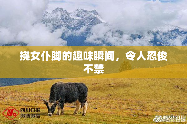 挠女仆脚的趣味瞬间，令人忍俊不禁