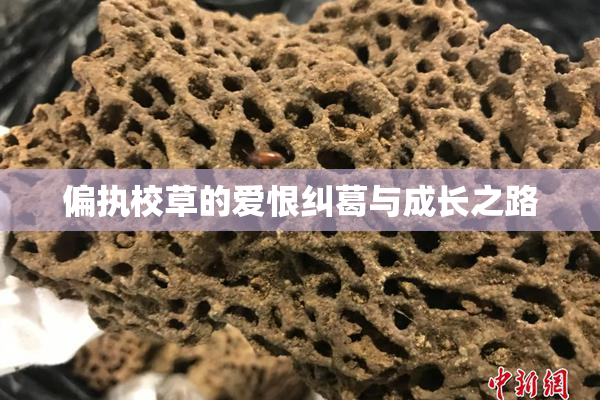 偏执校草的爱恨纠葛与成长之路