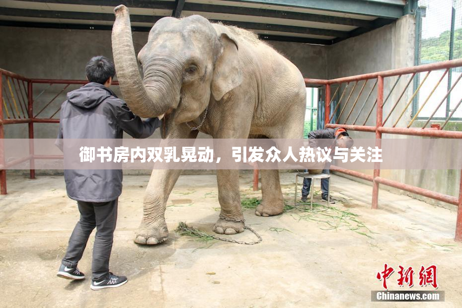 御书房内双乳晃动，引发众人热议与关注