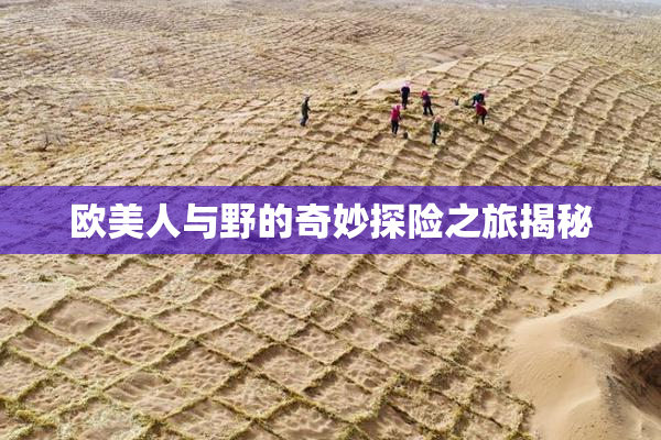 欧美人与野的奇妙探险之旅揭秘