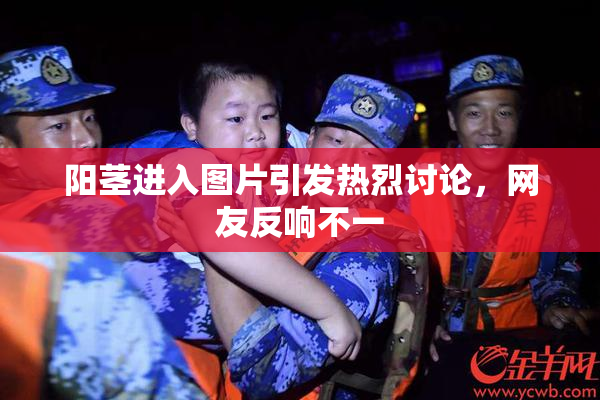 阳茎进入图片引发热烈讨论，网友反响不一