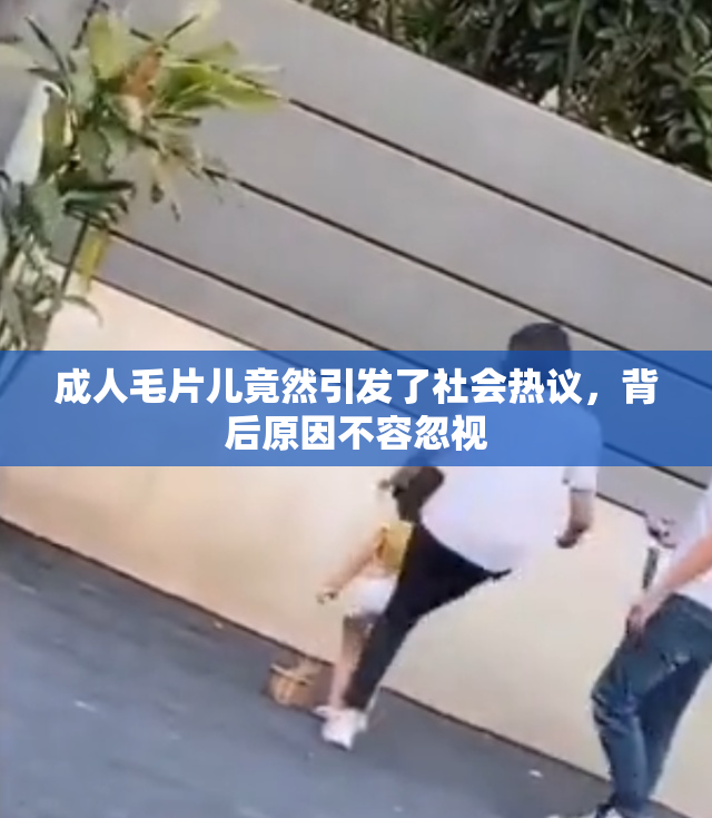 成人毛片儿竟然引发了社会热议，背后原因不容忽视