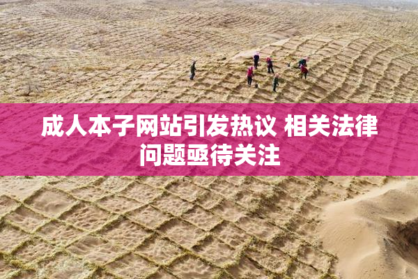 成人本子网站引发热议 相关法律问题亟待关注