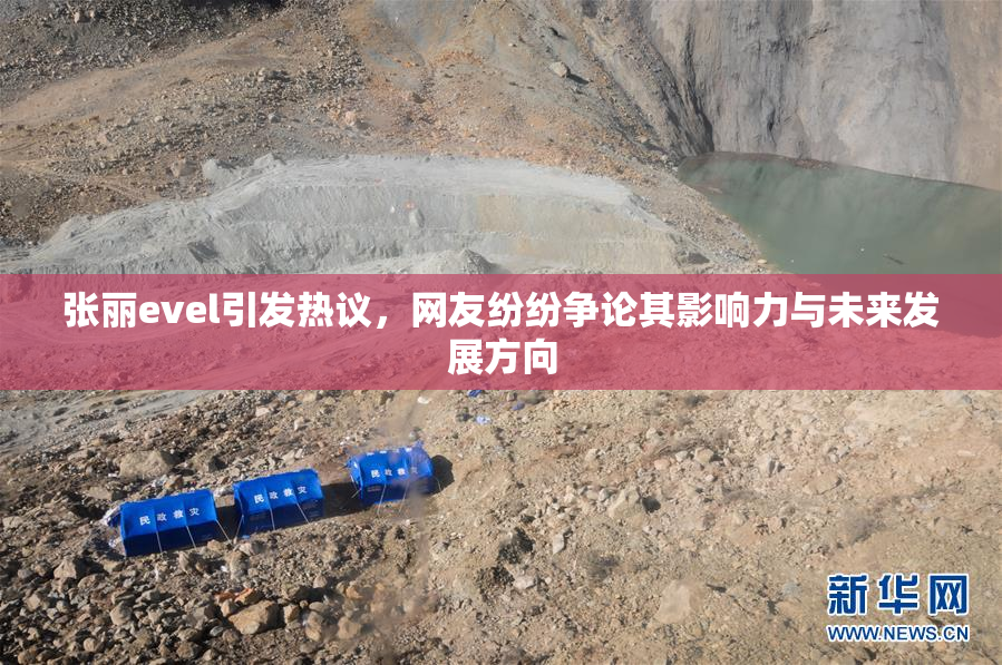 张丽evel引发热议，网友纷纷争论其影响力与未来发展方向