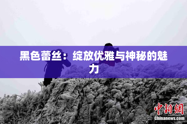 黑色蕾丝：绽放优雅与神秘的魅力