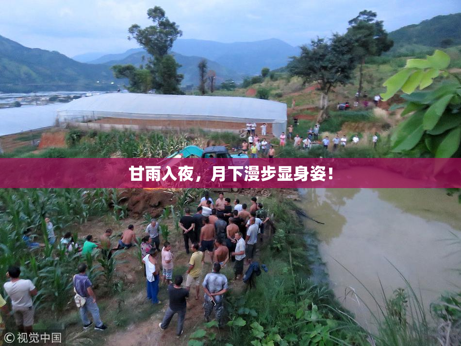 甘雨入夜，月下漫步显身姿！