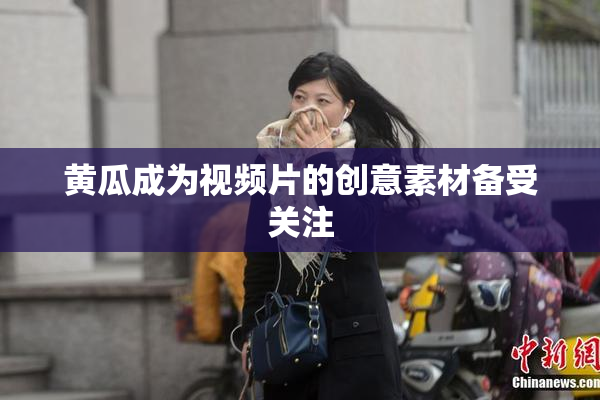 黄瓜成为视频片的创意素材备受关注