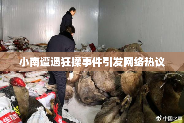 小南遭遇狂揉事件引发网络热议