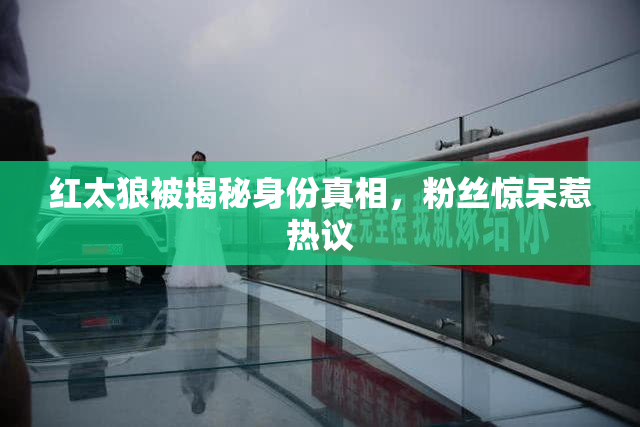 红太狼被揭秘身份真相，粉丝惊呆惹热议
