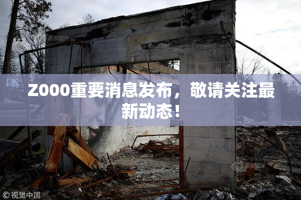 Z000重要消息发布，敬请关注最新动态！
