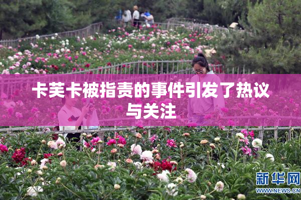 卡芙卡被指责的事件引发了热议与关注