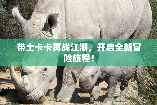 带土卡卡再战江湖，开启全新冒险旅程！