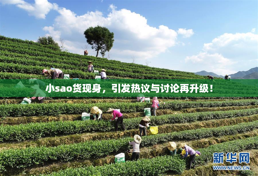 小sao货现身，引发热议与讨论再升级！