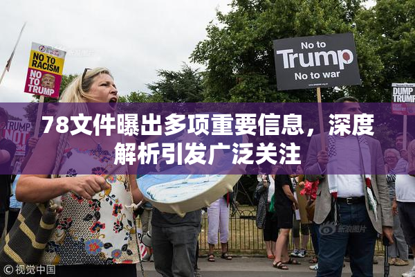 78文件曝出多项重要信息，深度解析引发广泛关注