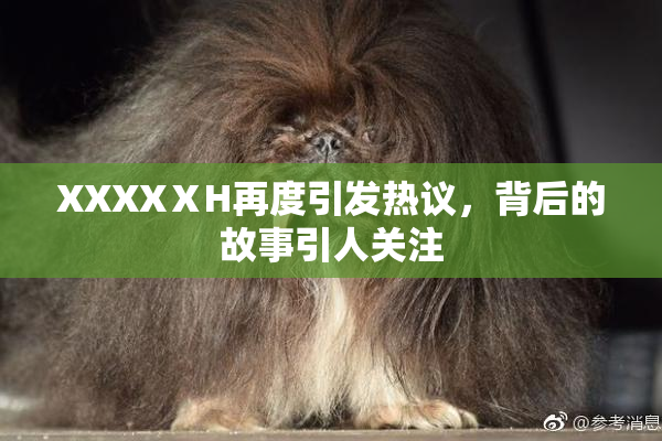 XXXXⅩH再度引发热议，背后的故事引人关注