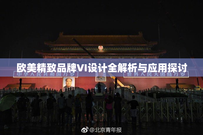 欧美精致品牌VI设计全解析与应用探讨