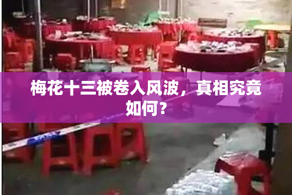 梅花十三被卷入风波，真相究竟如何？
