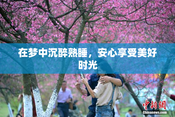 在梦中沉醉熟睡，安心享受美好时光