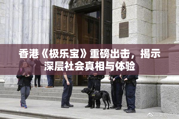 香港《极乐宝》重磅出击，揭示深层社会真相与体验