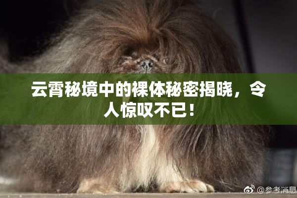 云霄秘境中的裸体秘密揭晓，令人惊叹不已！