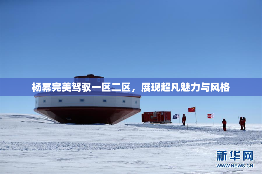 杨幂完美驾驭一区二区，展现超凡魅力与风格
