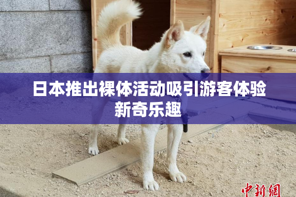日本推出裸体活动吸引游客体验新奇乐趣