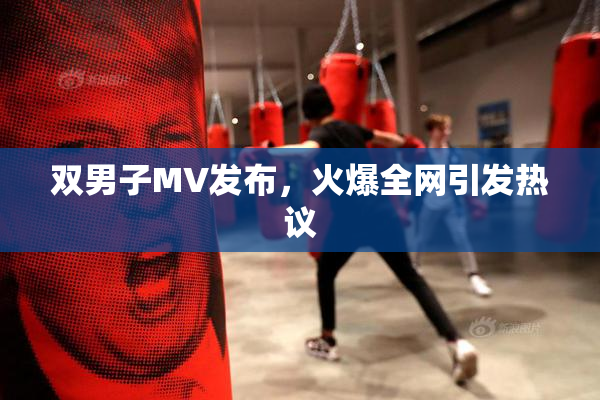 双男子MV发布，火爆全网引发热议