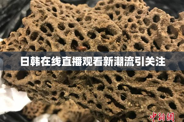 日韩在线直播观看新潮流引关注