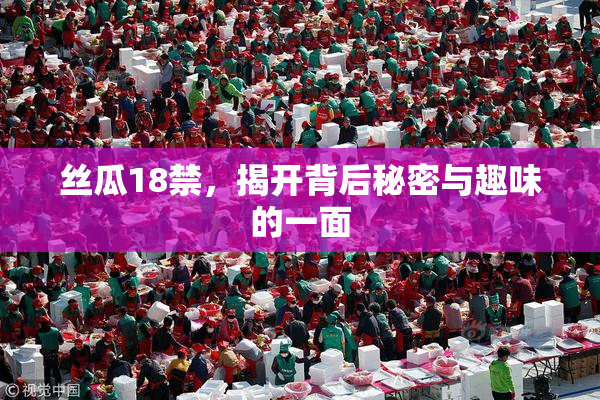 丝瓜18禁，揭开背后秘密与趣味的一面