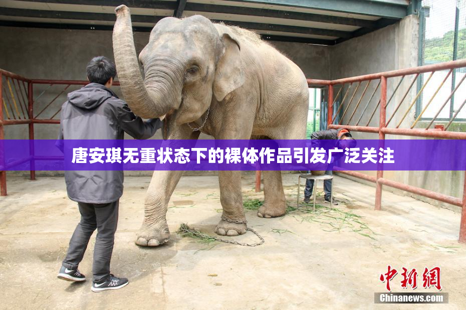 唐安琪无重状态下的裸体作品引发广泛关注