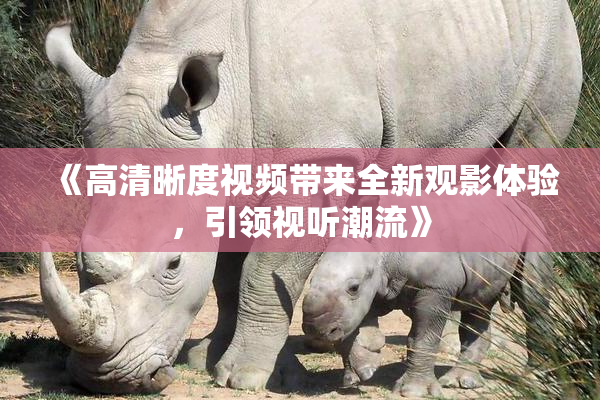 《高清晰度视频带来全新观影体验，引领视听潮流》