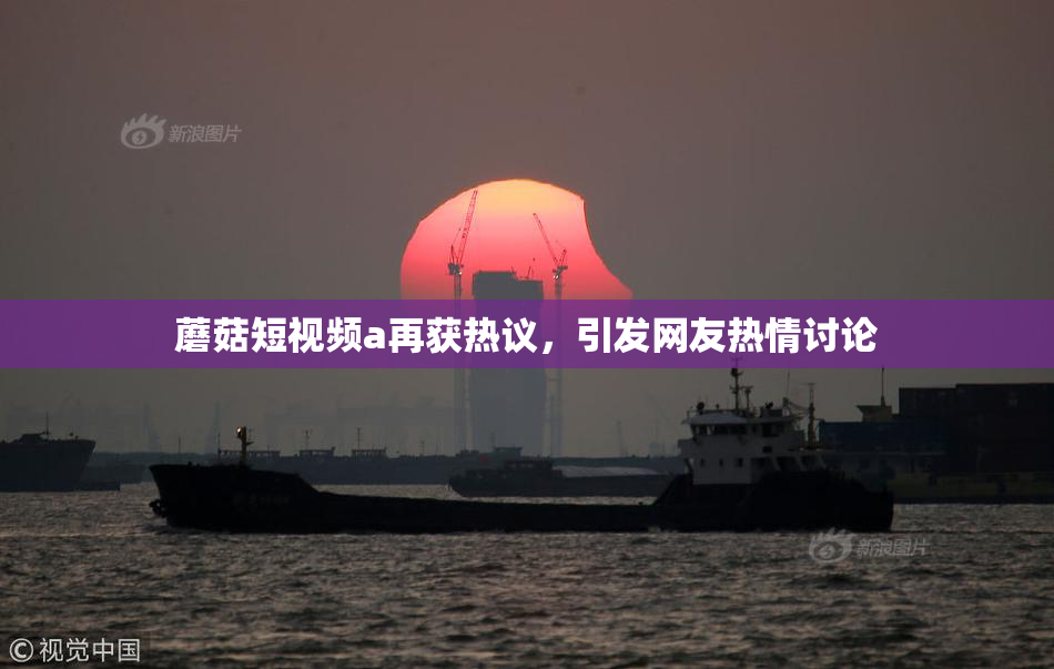 蘑菇短视频a再获热议，引发网友热情讨论