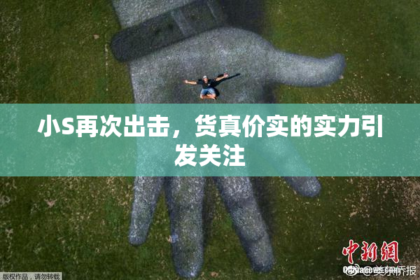 小S再次出击，货真价实的实力引发关注