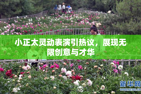 小正太灵动表演引热议，展现无限创意与才华