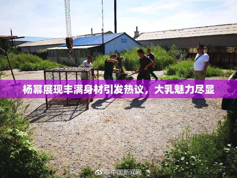 杨幂展现丰满身材引发热议，大乳魅力尽显