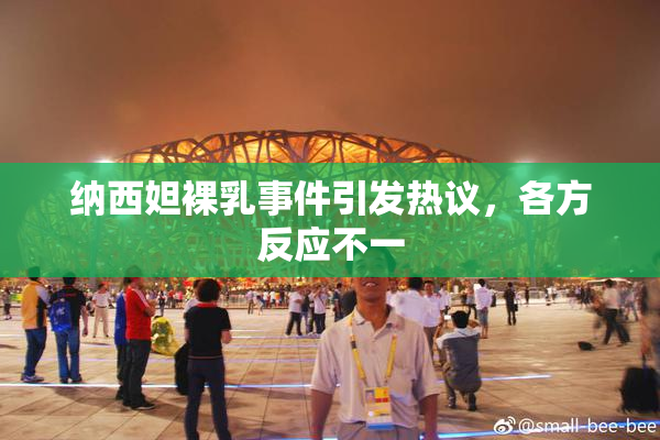 纳西妲裸乳事件引发热议，各方反应不一