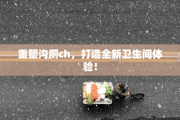 重塑沟厕ch，打造全新卫生间体验！
