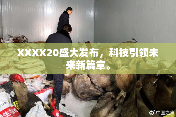 XXXX20盛大发布，科技引领未来新篇章。