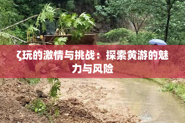 ζ玩的激情与挑战：探索黄游的魅力与风险