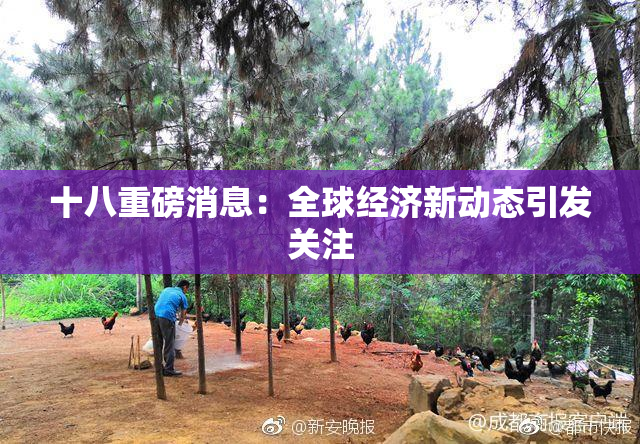 十八重磅消息：全球经济新动态引发关注