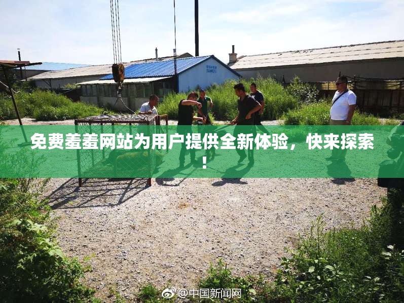 免费羞羞网站为用户提供全新体验，快来探索！