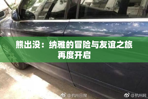 熊出没：纳雅的冒险与友谊之旅再度开启