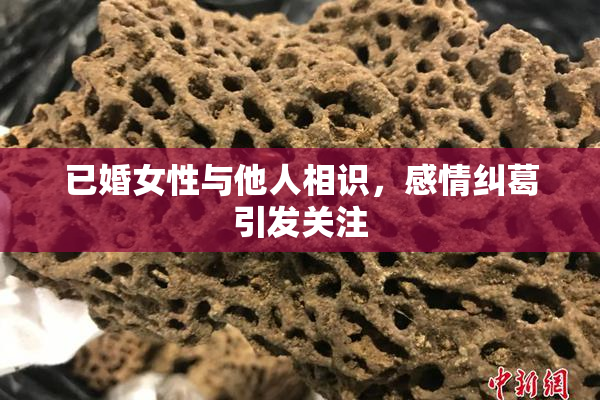 已婚女性与他人相识，感情纠葛引发关注