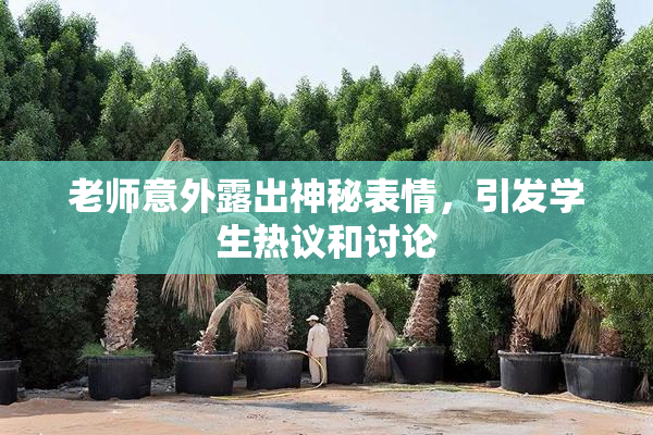 老师意外露出神秘表情，引发学生热议和讨论